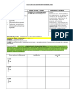 Plan de Cuidados de Enfermeria Pae Asesoria