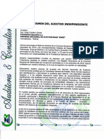 Dictamen Del Auditor Independiente 2019