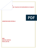 Evidencia 2 Diagrama de Flujo Importancia Del Medioambiente en La Empresa