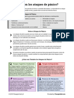 Panic Info Sheet Spanish