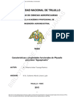 01.Caracteristicas y Propiedades Aguaymanto