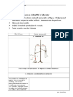 Fisa de Activitate