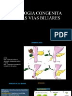 Patologia Congenita de Las Vias Biliares