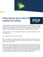 Alternativas para Adminitrar El Capital de Trabajo