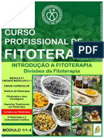 Curso Profissional de Fitoterapia - Módulo 1 - 1.4 - Divisões Da Fitoterapia