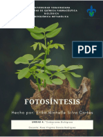 EMSC Fotosíntesis