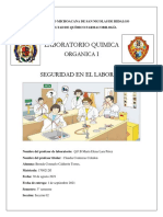 Ensayo-Seguridad en El Laboratorio