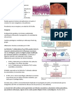 Artritis y Esclerodermia