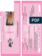 rg.hannah.pdf.com