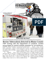 Bovine Tuberculosis Detected in Blaine County