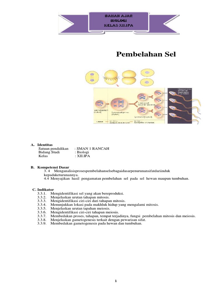 Modul Pembelahan Sel Kelas 12 | PDF | Sains & Matematika