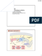 Mecanismo quimiosmótico da fosforilação oxidativa