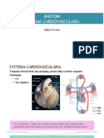 Anatomi Sistem Cardiovascularia