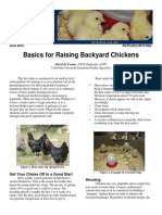 Basics For Raising Backyard Chickens: David D. Frame