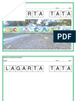 Lagarta Tata