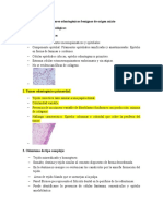 Tumores Odontogénicos. - Características Histopatológicas