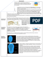 Resumen U3