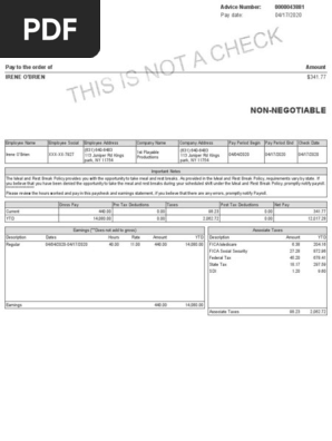 paystub