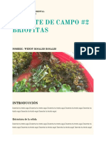 Reporte de Campo Briofitas