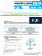 La Reproducción para Tercer Grado de Secundaria