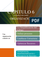 Capitulo 6 La Organización