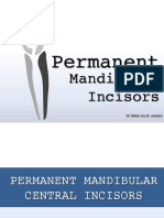 Permanent Mandibular Incisors Guide