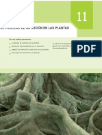 El Proceso de Nutrición en Las Plantas: en Esta Unidad Aprenderás