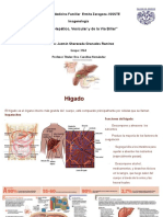 Cáncer de Higado, Vesicula y Via Biliar