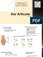 Dor Articular