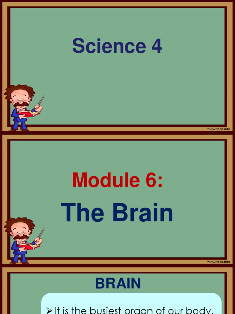 Science 4 | PDF | Brain | Brain Tumor