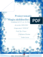 Proiect Tematic Magia Sarbatorilor de Iarna