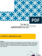 Typhus Abdominalis