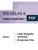 Ips 1