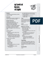 P4 A Beginning Look at Photosynthesis PDF