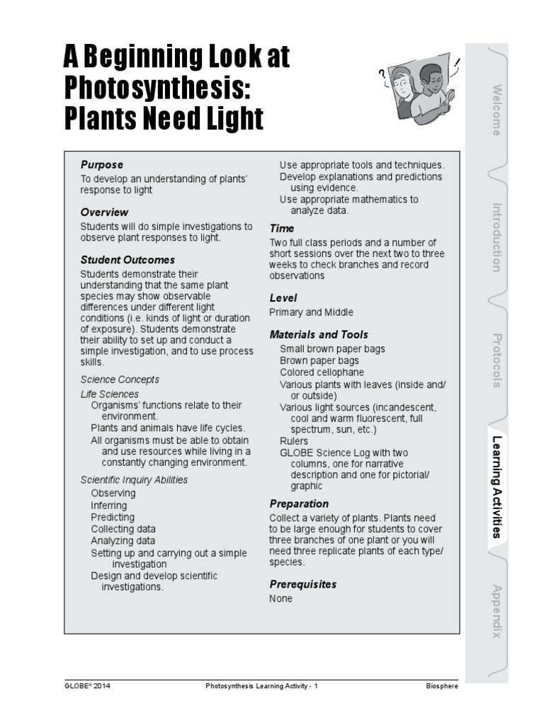 P4 A Beginning Look at Photosynthesis PDF | PDF | Photosynthesis | Plants