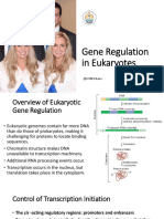 Gene Regulation in Eukaryotes: @usbfirdaus