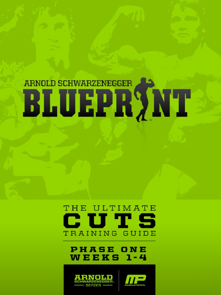 Arnold's Blueprint To Cut PDF - Exercise | PDF