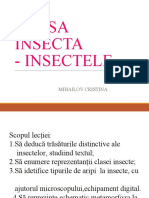 clasainsecta