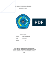 Braden Scale (Luka Tekan) - DeasyPermataHaki - G2A019075