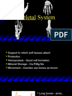 Musculoskeletal Anatomy and Physiology 8