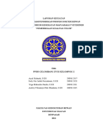 Laporan Kesmavet PPDH 18g (Pemeriksaan Kualitas Telur)