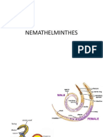 Nemathelmintes: Cacing Parasit Manusia dan Hewan