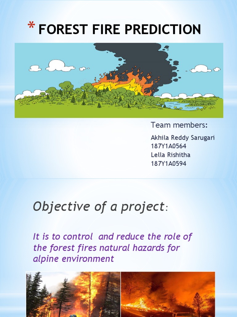 Forest Fires Pdf Wildfire Fires