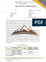 INFORME DE PRODUCCIÓN-COMPAÑIA 