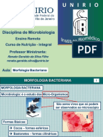 *Aula 1- Morfologia Bacteriana