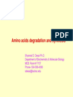 Amino Acid Metabolism I 10-14-08