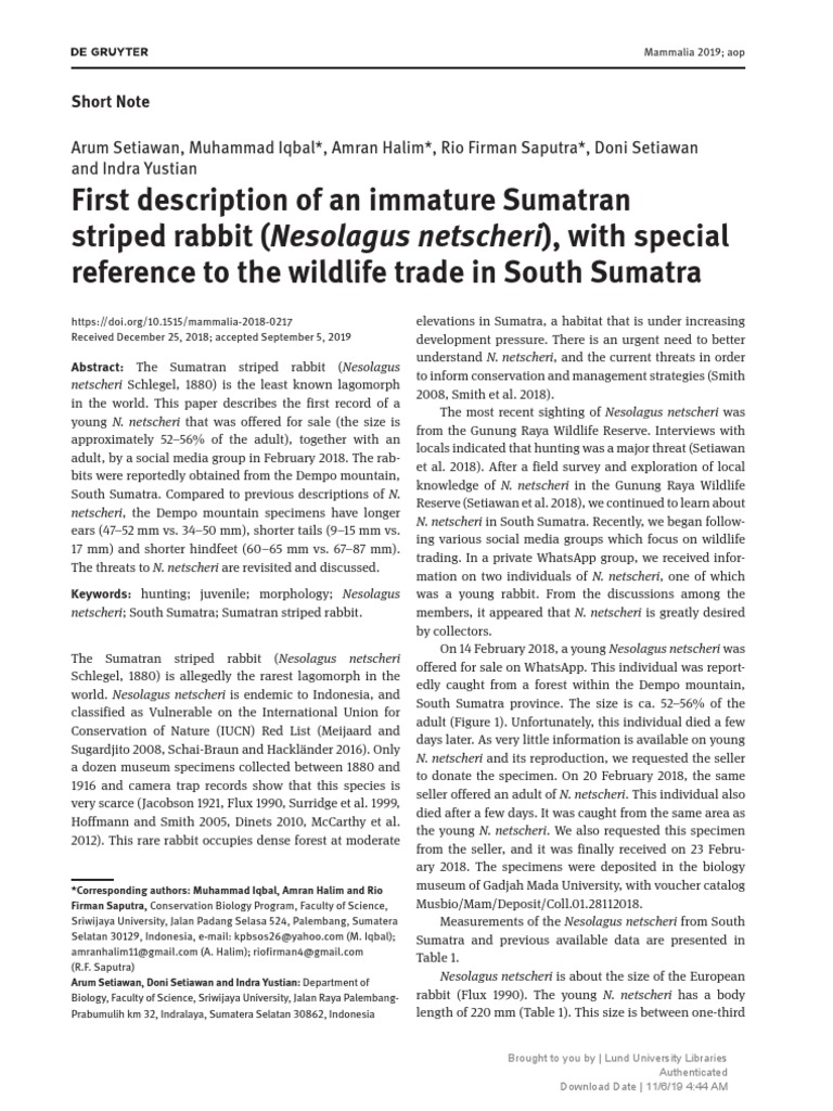 1.1. First Description of An Immature Sumatran Rabbit | PDF | Organisms