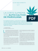 Defensoria Penal Autocultivo de Canabis