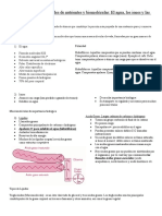 Características y Propiedades de Nutrientes y Biomoléculas