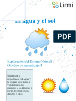 La Importancia Del Agua y Luz Solar para Las Personas, Animales y Plantas